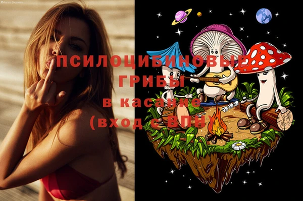 дурь Белоозёрский