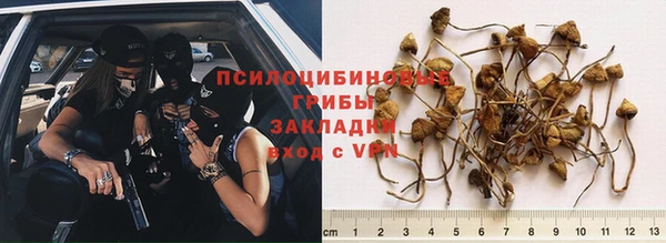 соль курить ск Белокуриха