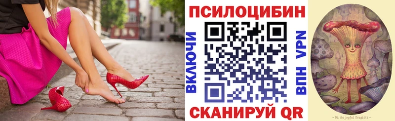 сколько стоит  KRAKEN ссылки  Псилоцибиновые грибы ЛСД  Медногорск 
